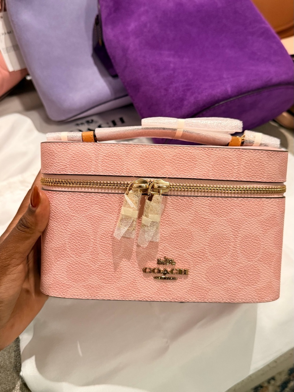 Coach Powder Pink Canvas Vanity Case with Gold Hardware